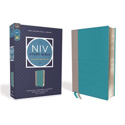 150482 NIV Study Bible - Teal & Gray Leathersoft -  Zondervan