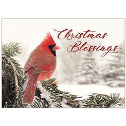 Legacy 150923 Thessalonians 5 - 28 NLT Winter Cardinal Greeting Cards - Pack of 20