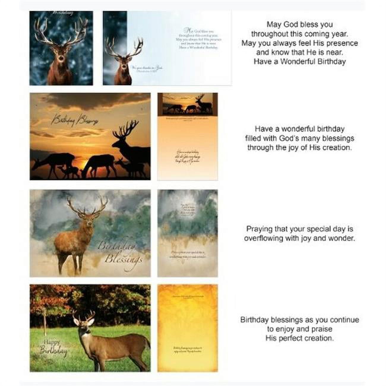 Picture of Crown Point Graphics 169551 Boxed - Card Shared Blessings-Birthday Wildlife - Box of 12