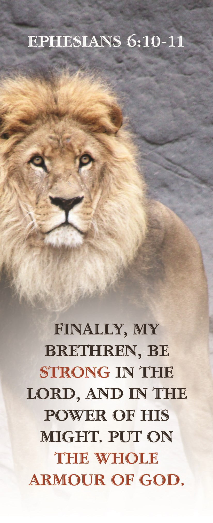 Armor of God Bible Bookmark - Pack of 25