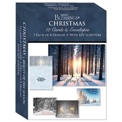 Crown Point Graphics 253501 Card Boxed - Shared Blessings Christmas-Assorted & Beauty of the Season
