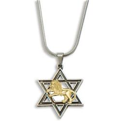 Pendant - Star of David & Lion of Judah - Stainless Steel