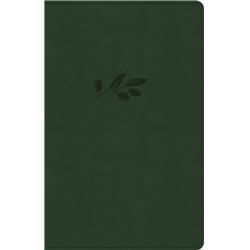 Picture of B&H Publishing 23800X LeatherTouch NASB Large Print Personal Size Reference Bible&#44; Olive