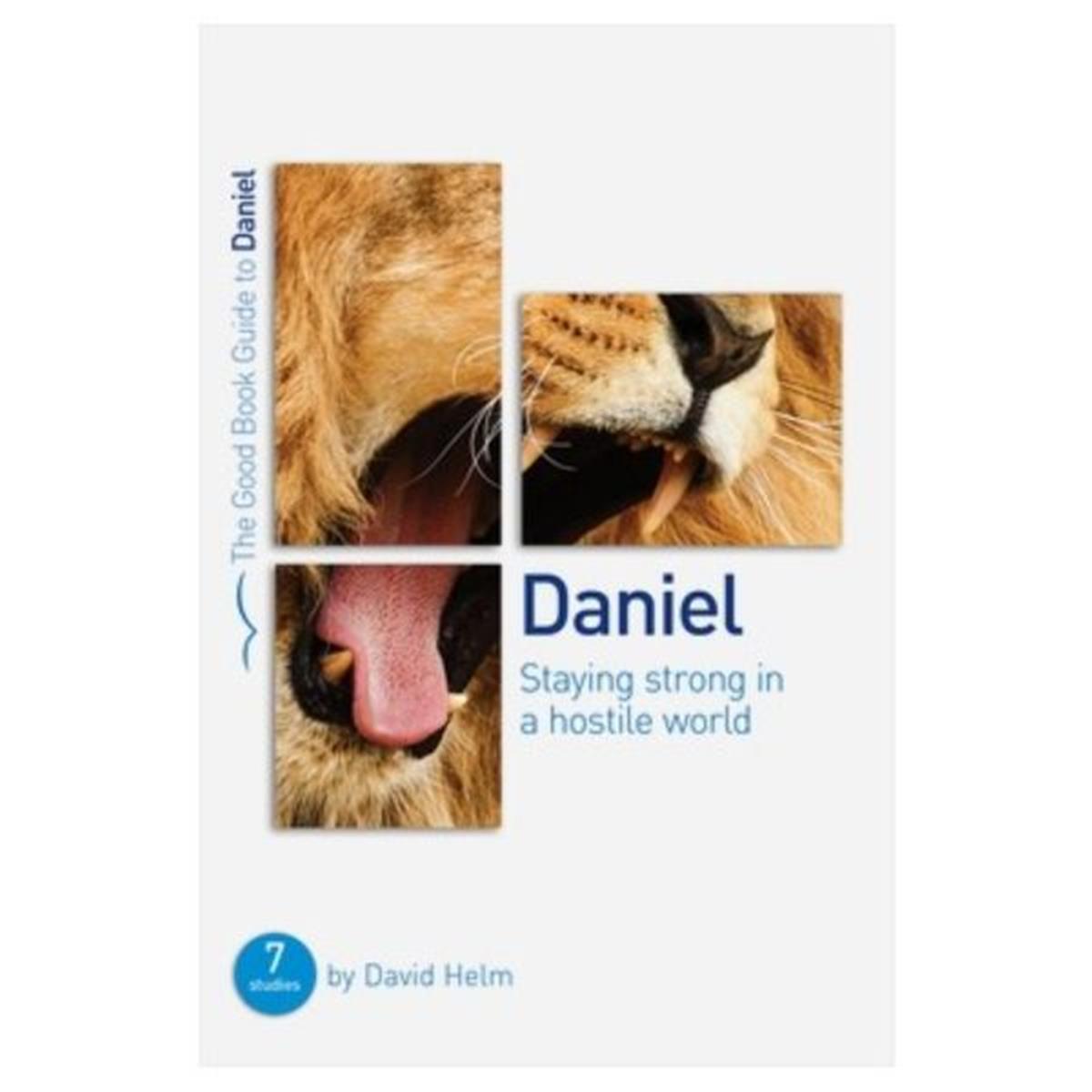 The Good Book 252621 Daniel The Good Book Guide
