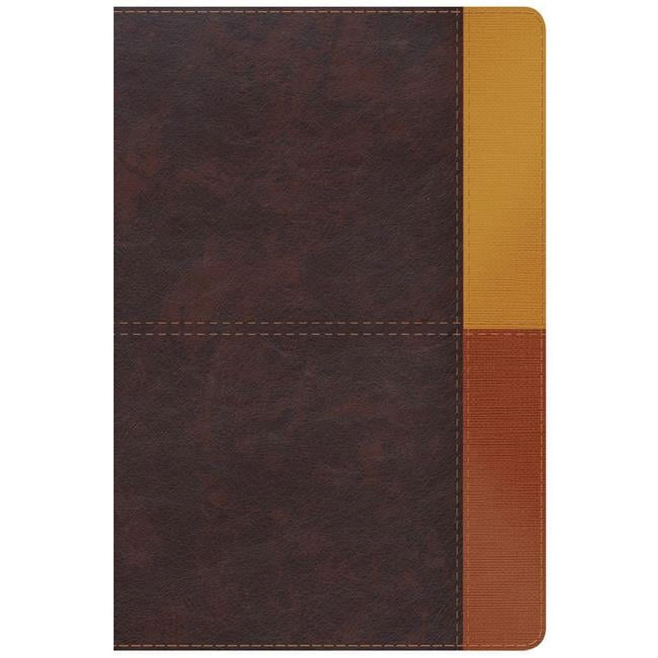 RVR 1960 Rainbow Study Bible, Cocoa & Terracota LeatherTouch Indexed