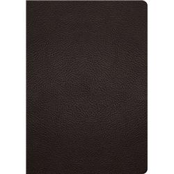 6.5 x 9.25 in. ESV Study Bible, Deep Brown Buffalo Leather