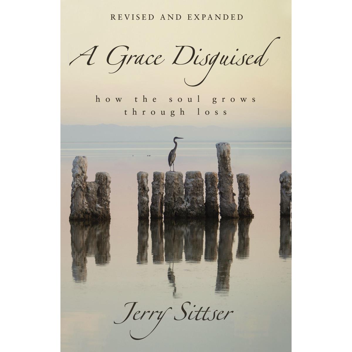 247865 A Grace Disguised Book