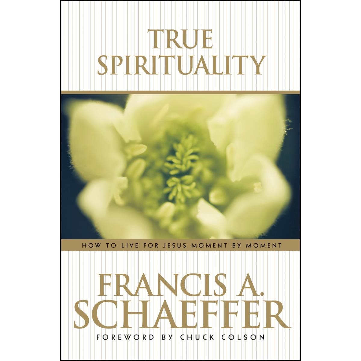 493519 True Spirituality Book