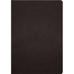 6.25 x 8 in. ESV Single Column Journaling Bible, Deep Brown Buffalo Leather
