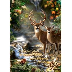 Glow Decor 261443 10 x 14 in. Frameless Canvas - Deer Creek & As the Deer Pants for Water Psalm 42-1