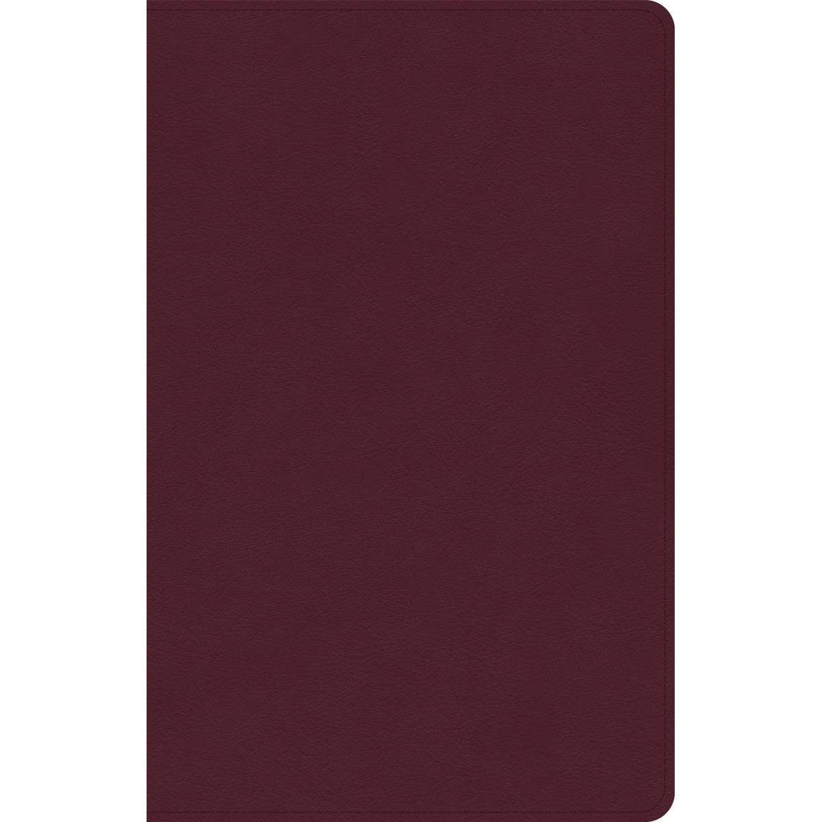 Picture of B & H Publishing - Holman Bible 25965X CSB Thinline Reference LeatherTouch Bible - Cranberry
