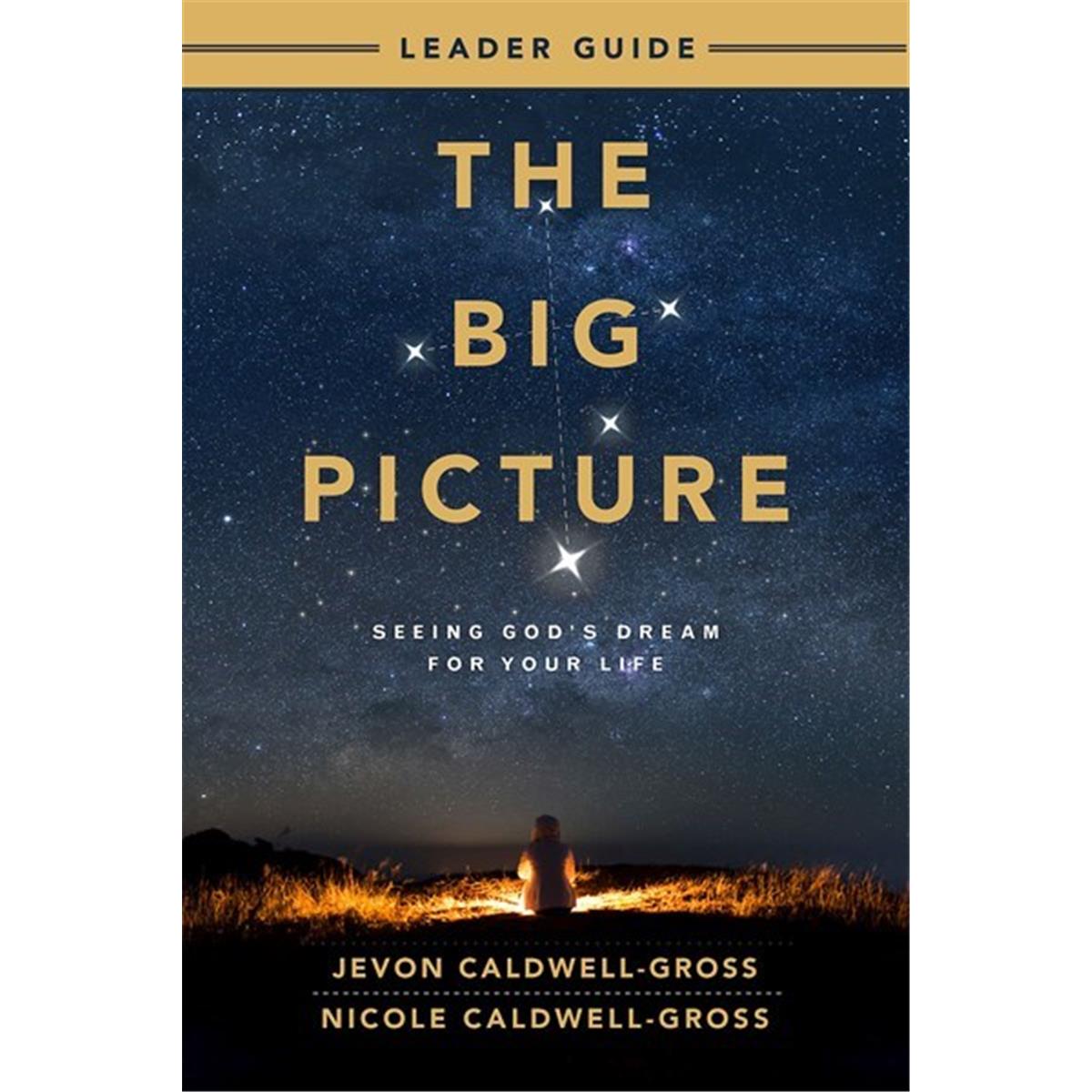 Picture of Abingdon Press 232136 The Big Picture Leader Guide Book