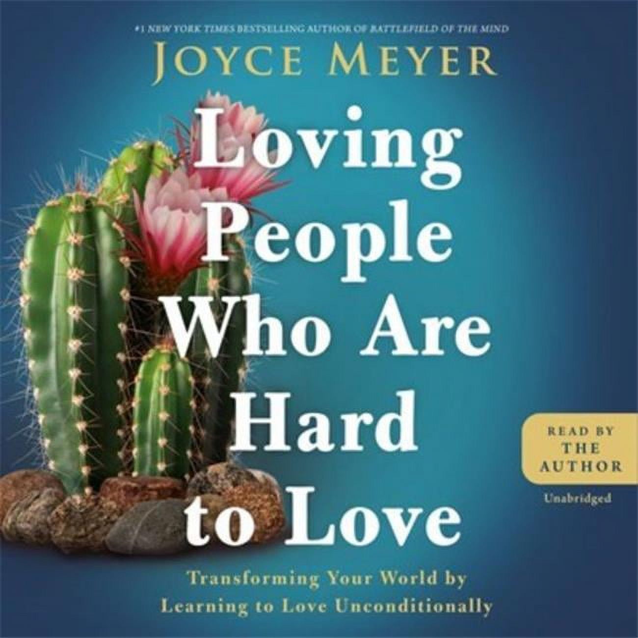 Picture of Hachette - FaithWords Books 204213 Loving People Who are Hard to Love Audiobook - Audio CD