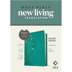 240392 NLT Compact Giant Print & Filament Enabled Edition Bible - Peony Rich Teal