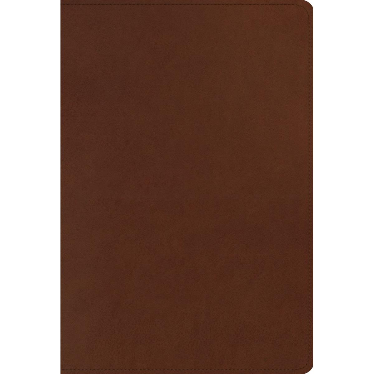 259922 ESV Mens Study TruTone Bible - Brown