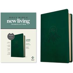 221080 NLT Large Print Thinline Reference Filament Enabled Edition Bible - Evergreen
