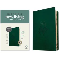 221083 NLT Large Print Thinline Reference Filament Enabled Edition Bible - Evergreen