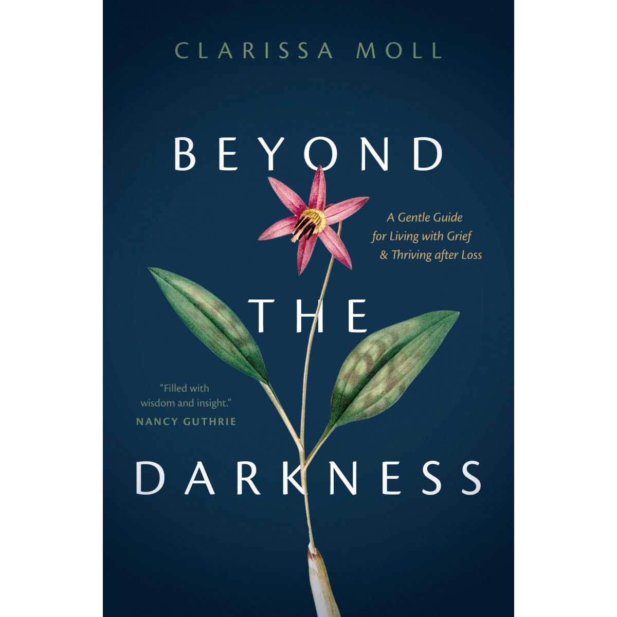 221107 Beyond the Darkness Book