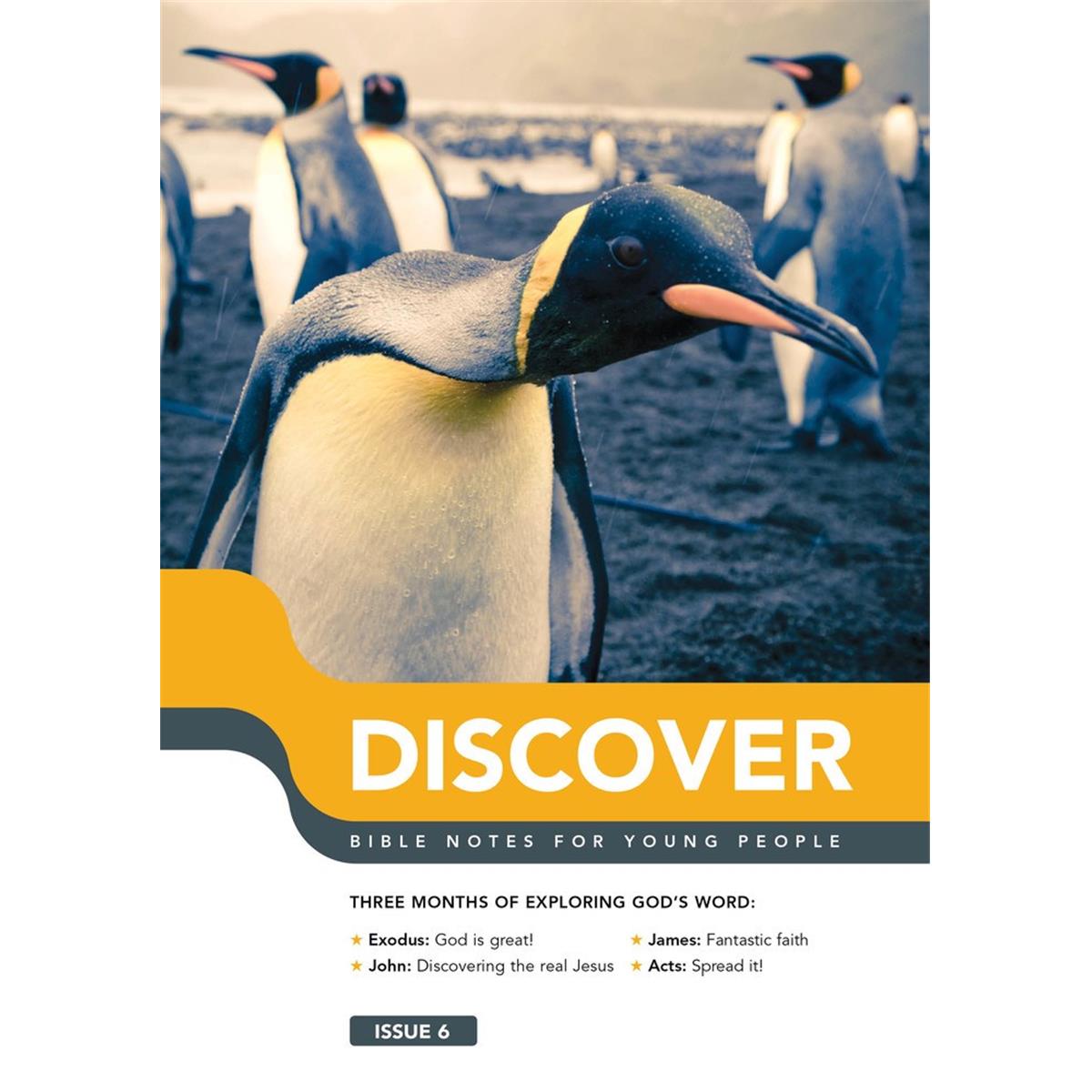 The Good Book 259497 Discover - Bible Notes for Young People Book 6