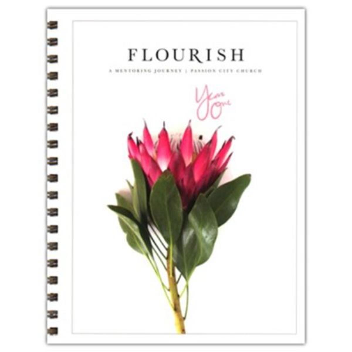 26982X Flourish - A Mentoring Journey - Year One Book
