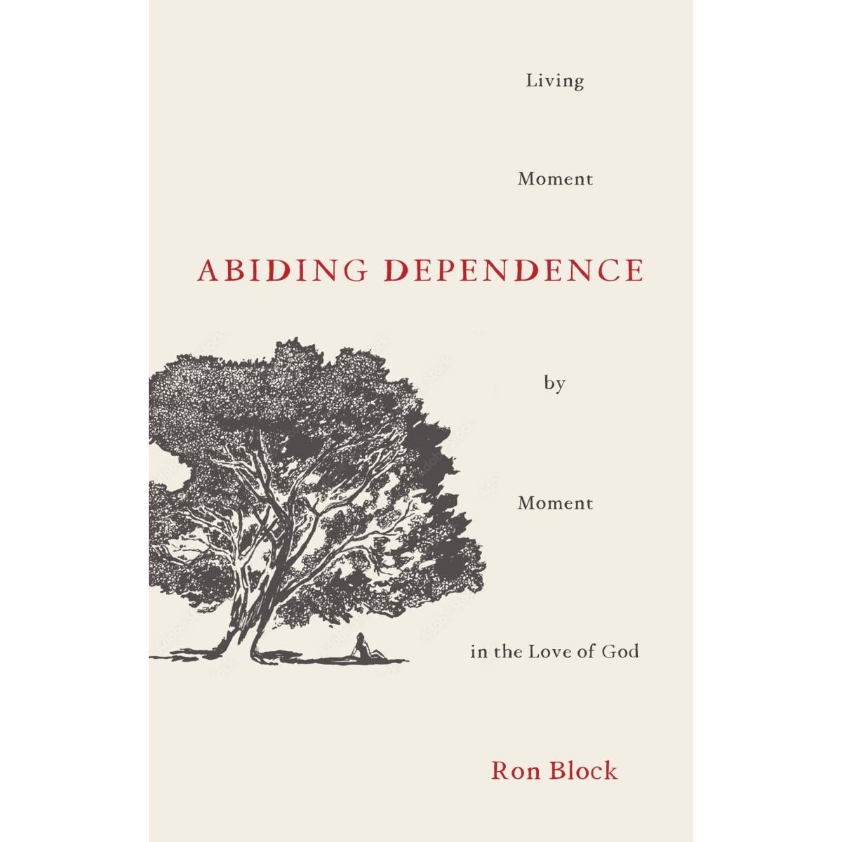 213067 Abiding Dependence Book