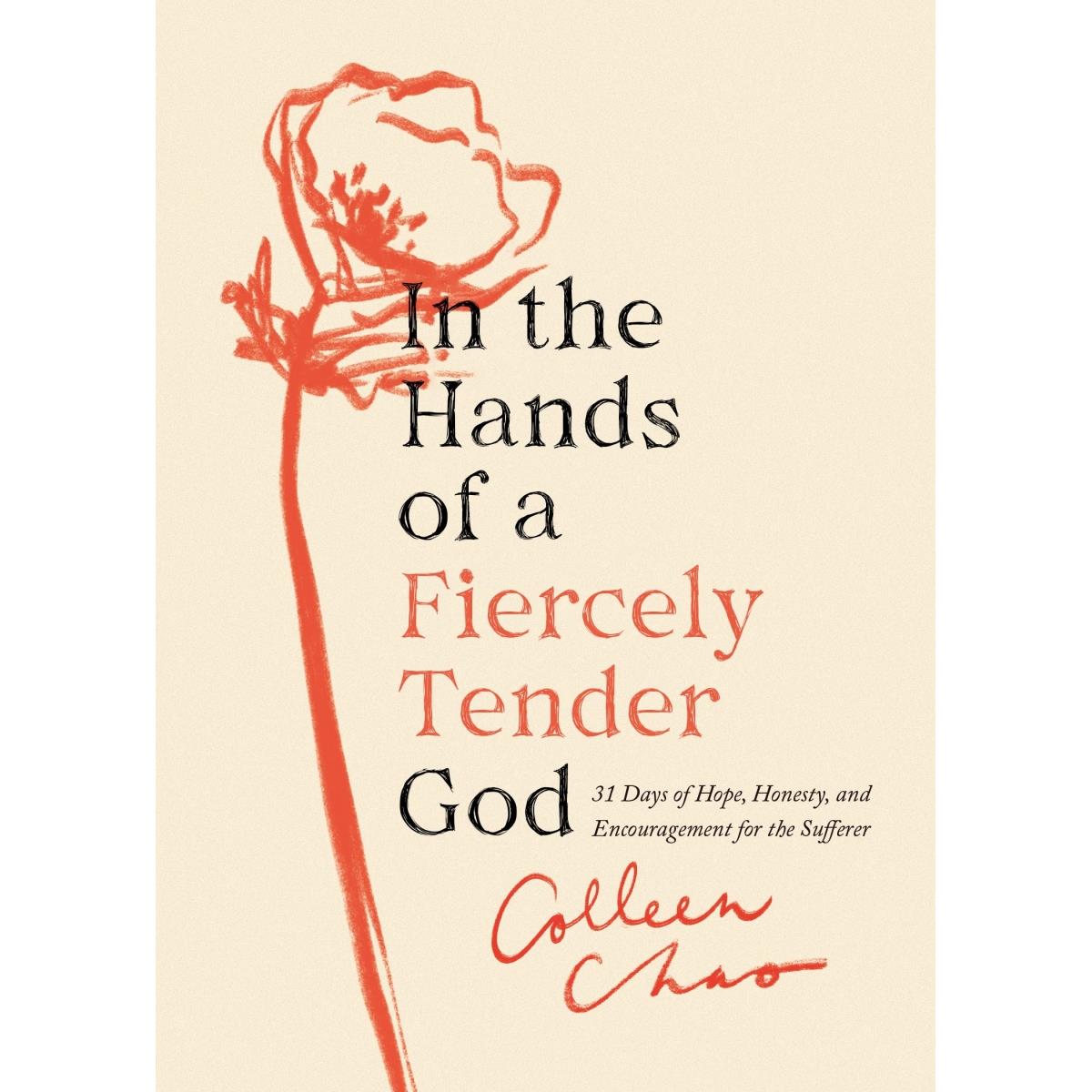213086 In the Hands of a Fiercely Tender God Book