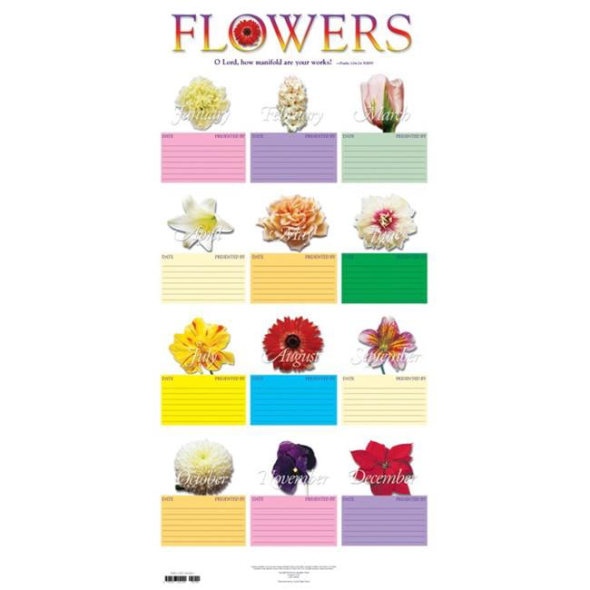 Picture of Abingdon Press 241699 15 x 31 in. Tube Mylar Flower Chart