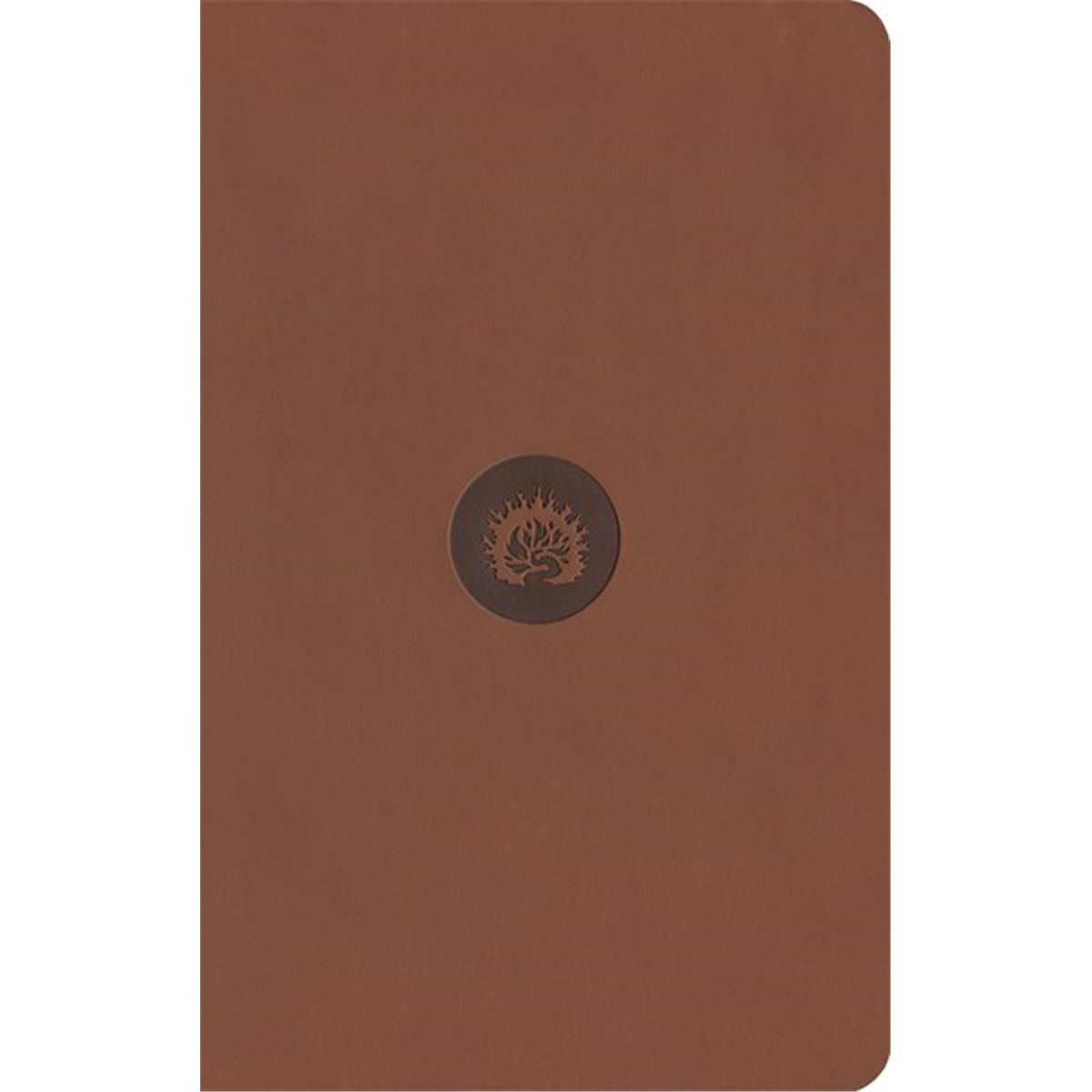 211605 ESV Reformation Student Edition Leather-Like Study Bible - Brown