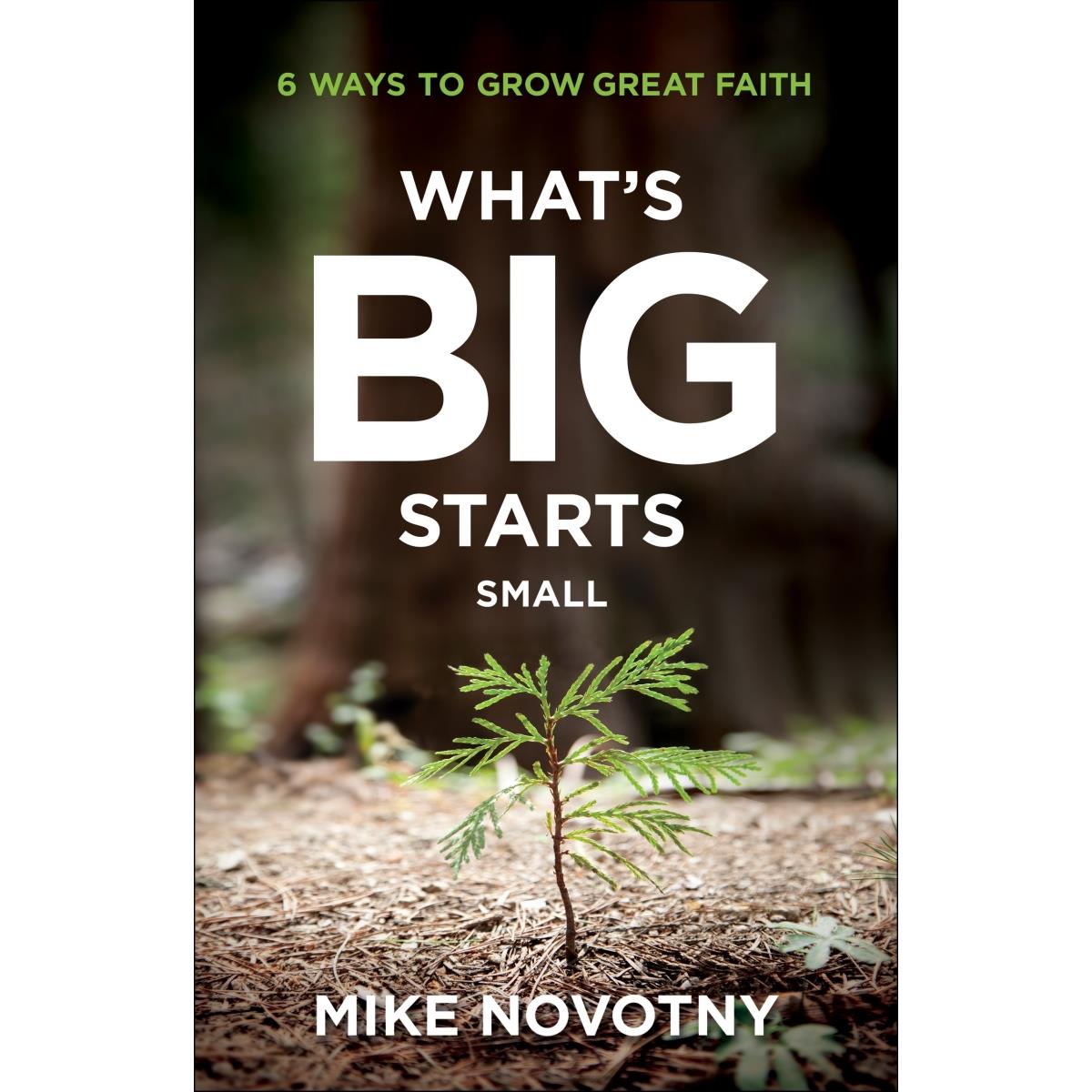 211884 Whats Big Starts Small Book