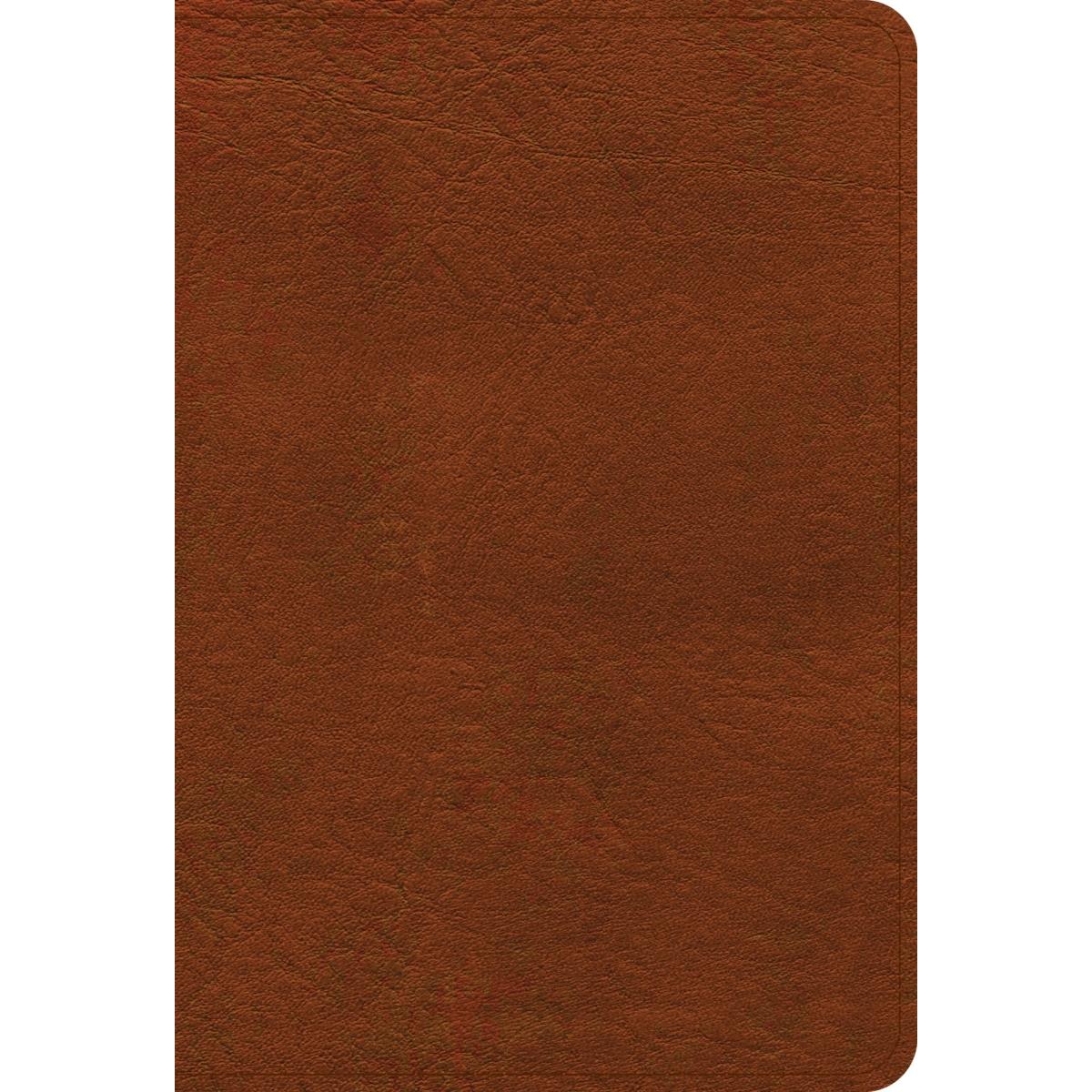 Picture of B&H Publishing 259626 NASB 2020 Large Print Compact Reference Leathertouch Bible - Burnt Sienna