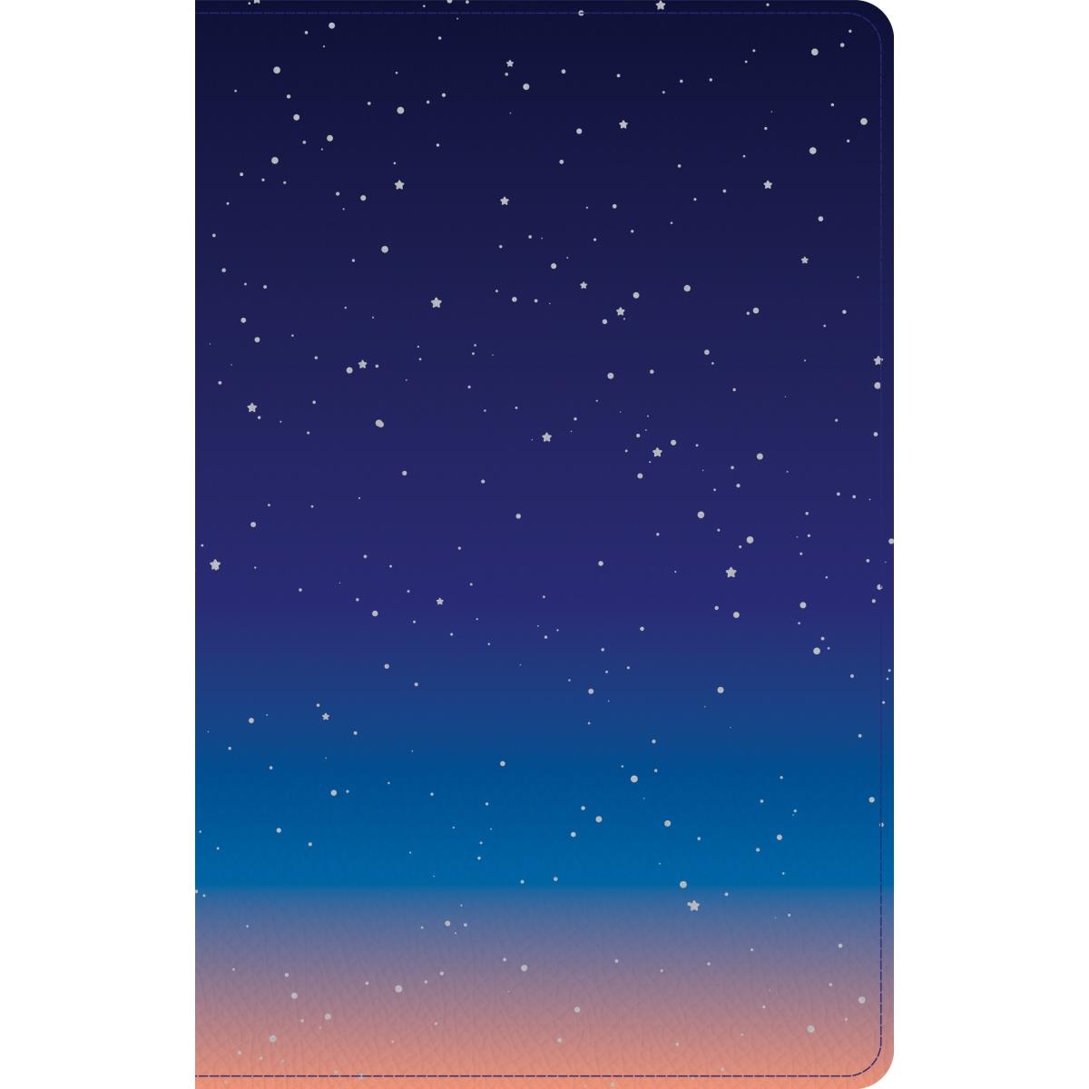25966X CSB Kids Thinline Edition LeatherTouch Bible - Space