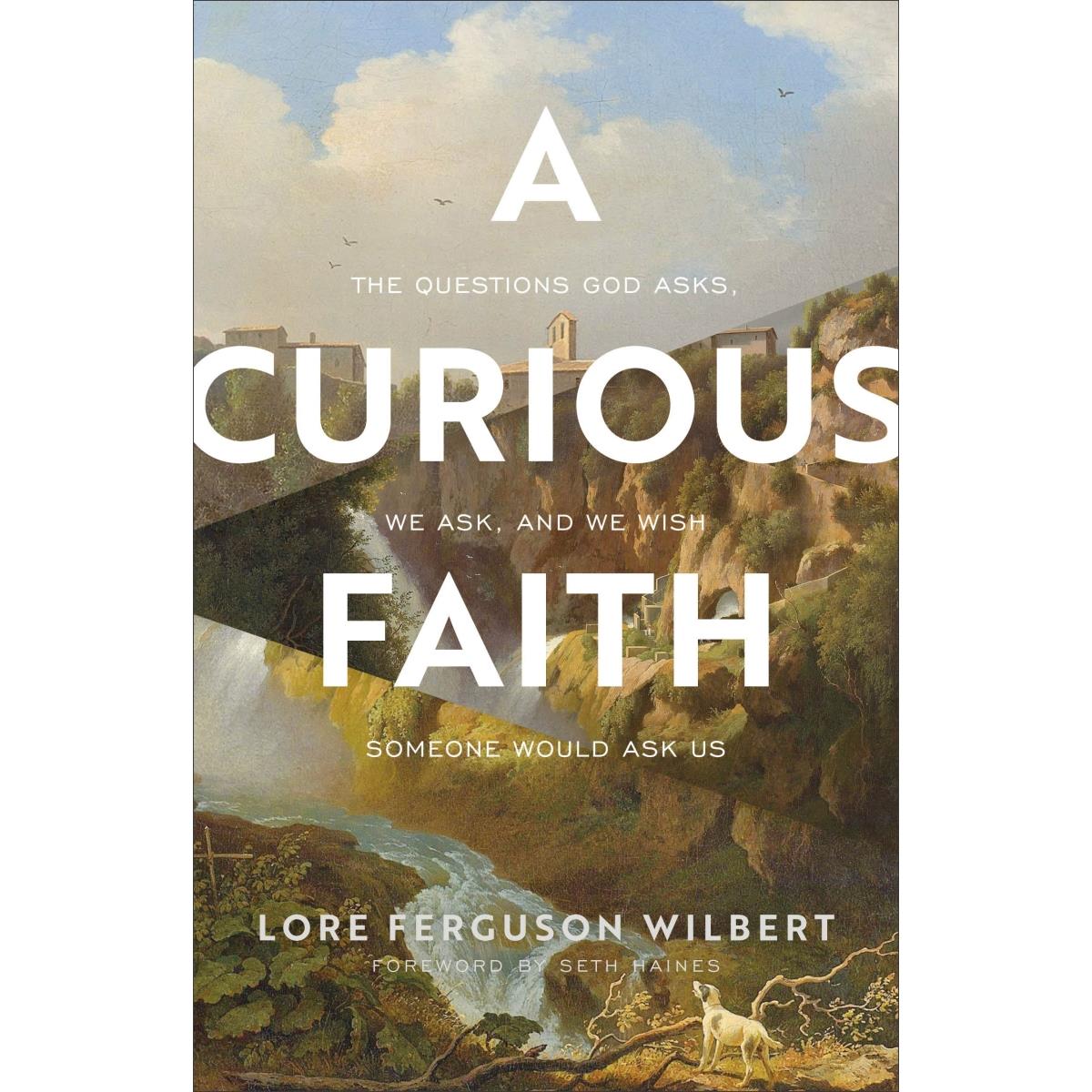 211792 A Curious Faith Book