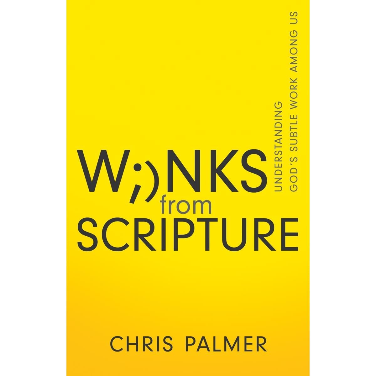 771437 Winks from Scripture Book