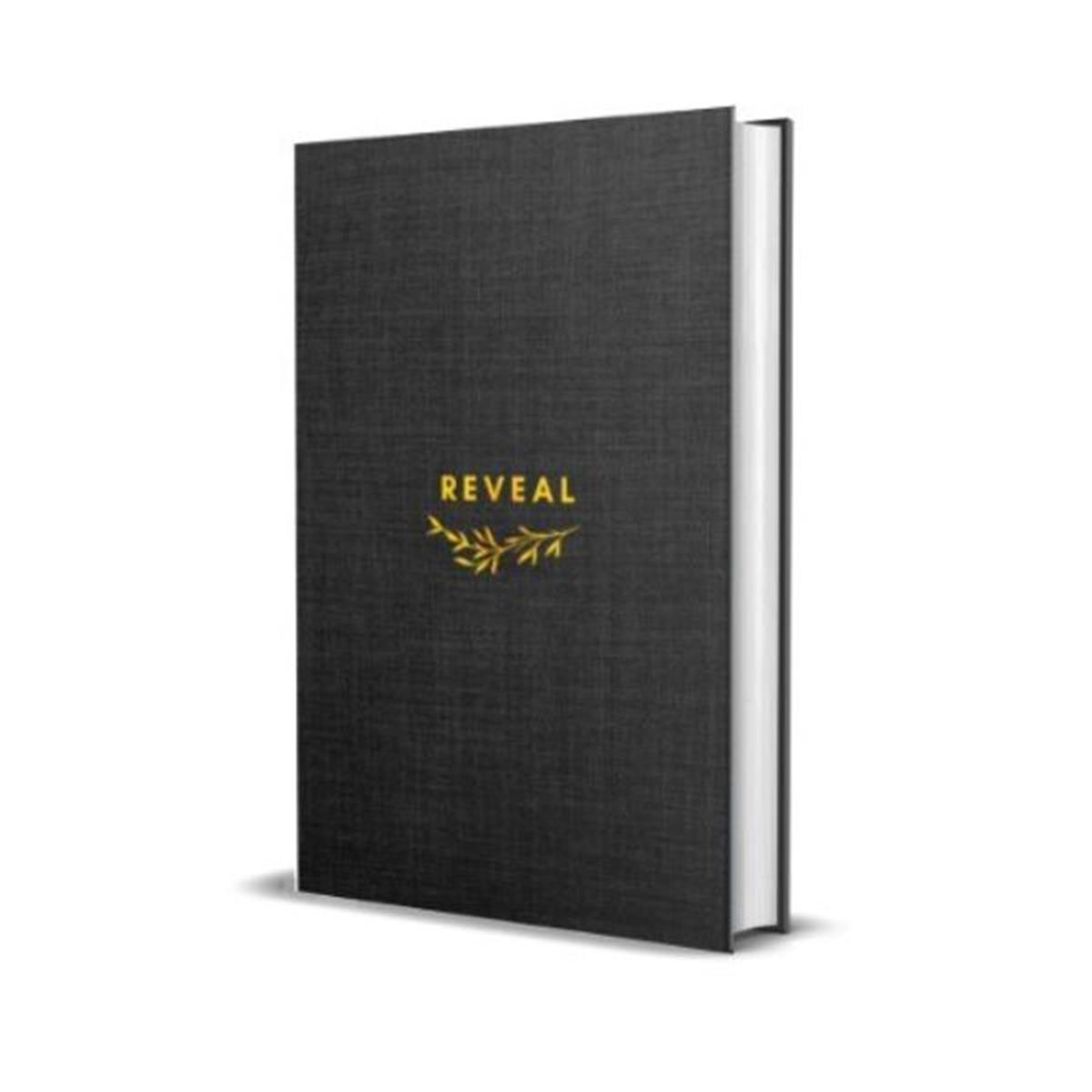 GI-PRJ Tucker Rachel Reveal Journal Book