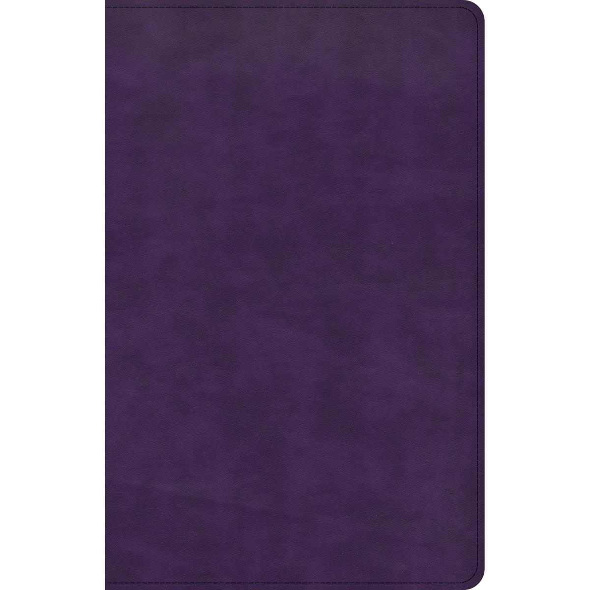 Picture of B&H Publishing 204344 CSB Large Print Personal Size Reference LeatherTouch Bible - Purple