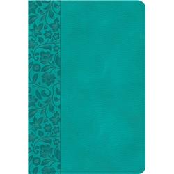 Picture of B & H Publishing - Holman Bible 259628 NASB 2020 Large Print Compact Reference Leathertouch Bible - Teal