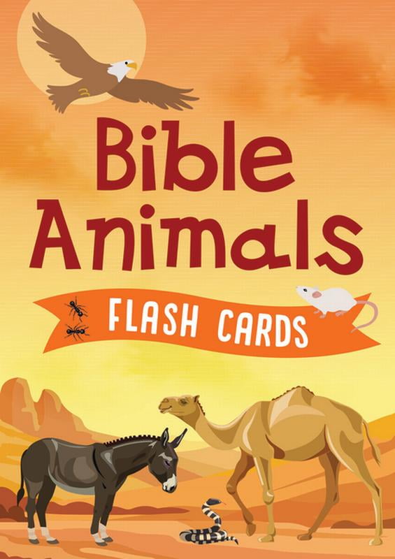 Picture of Barbour Kidz 211891 Bible Animals Flash Cards