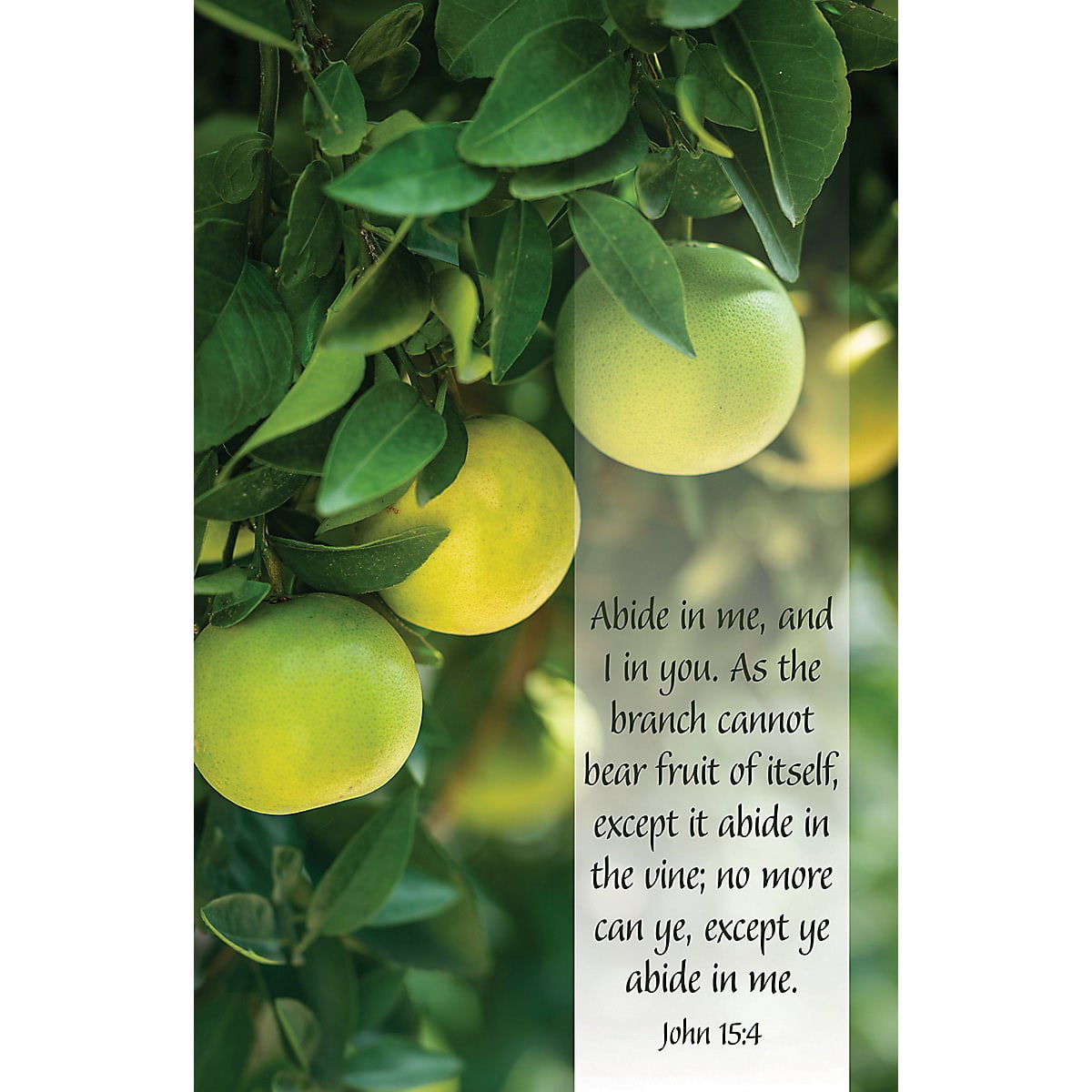 Bulletin - Abide In Me & I In You - Pack of 100