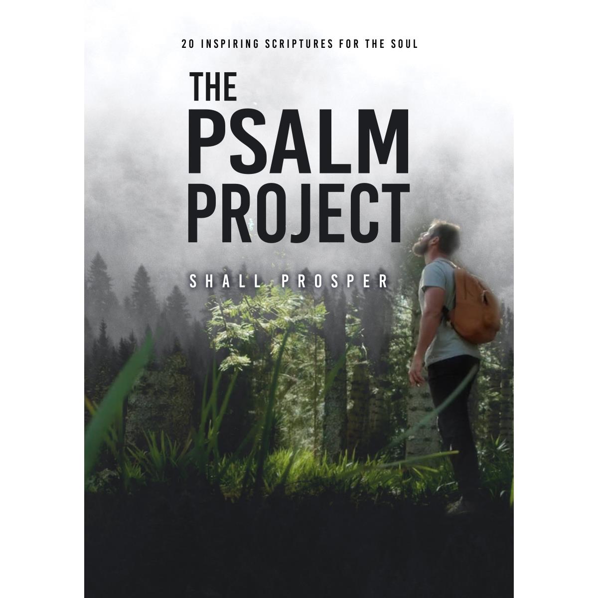 Picture of Bridgestone Multimedia 233469 The Psalm Project DVD
