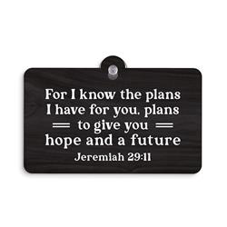 273404 5 x 3.5 in. for I Know The Plans Suction Sign