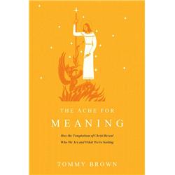 292567 The Ache for Meaning Book
