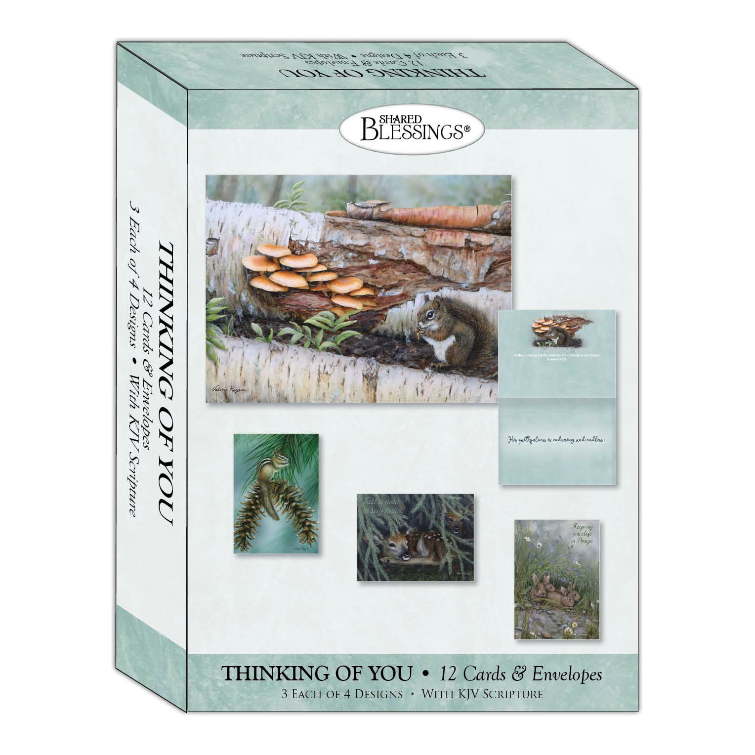 Picture of Crown Point Graphics 299536 Shared Blessings-Thinking of You-Woodlands Boxed Card - Pack of 12