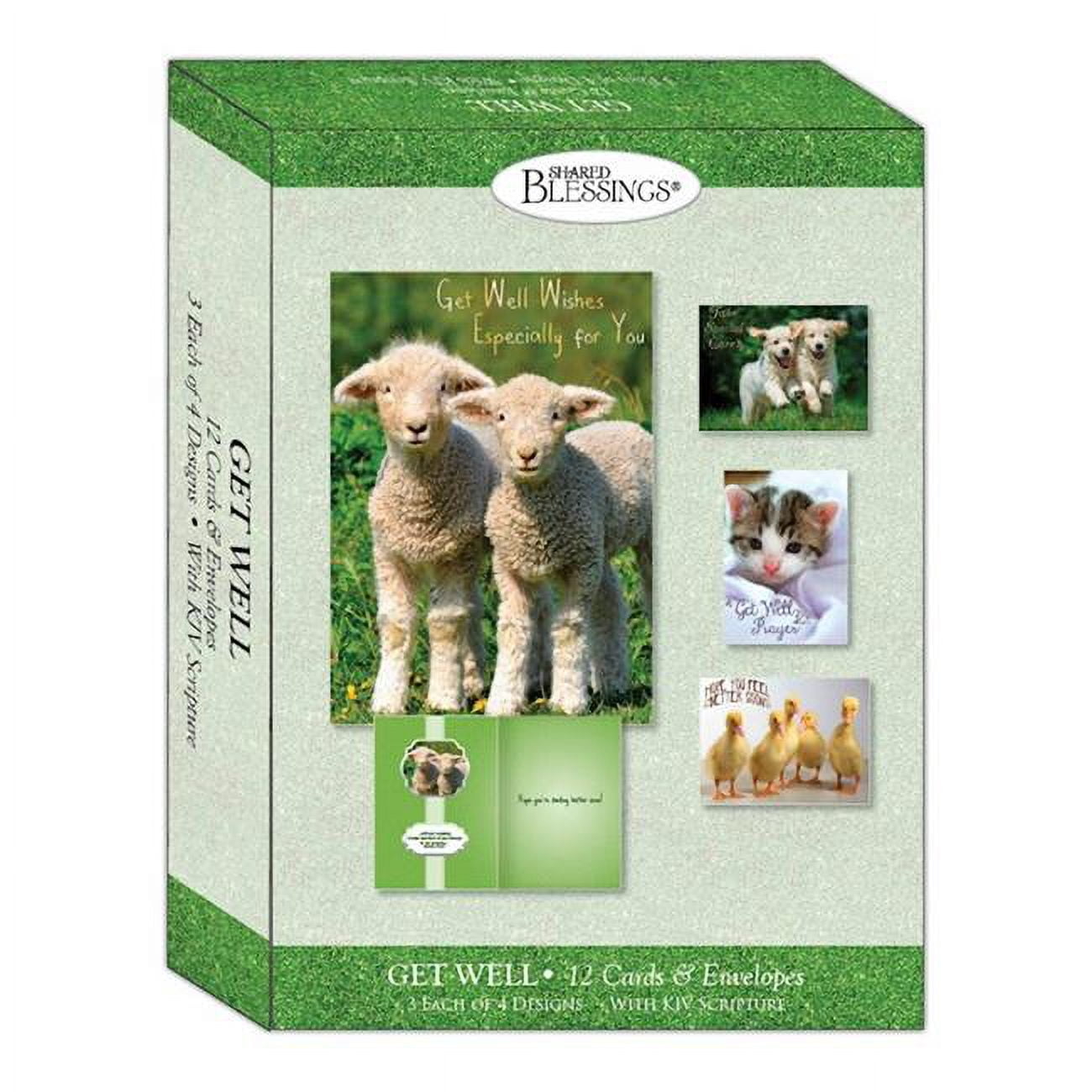Picture of Crown Point Graphics 309287 Fun Friends Get Well Shared Blessings Boxed Card - Box of 12