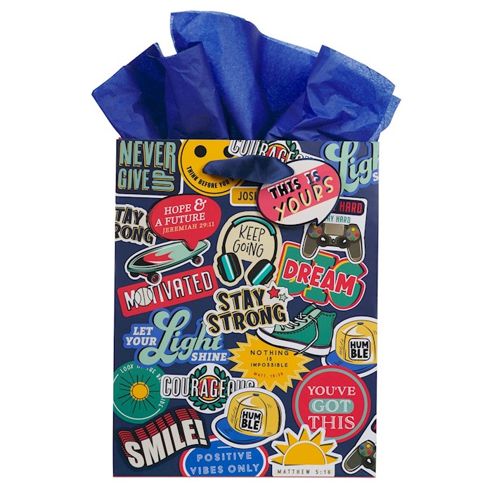 381041 Medium Patches Gift Bag