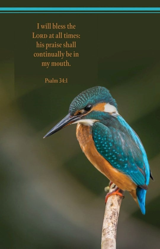 381469 I Will Bless The LORD At All Times Psalm 341 KJV Bulletin - Pack of 100