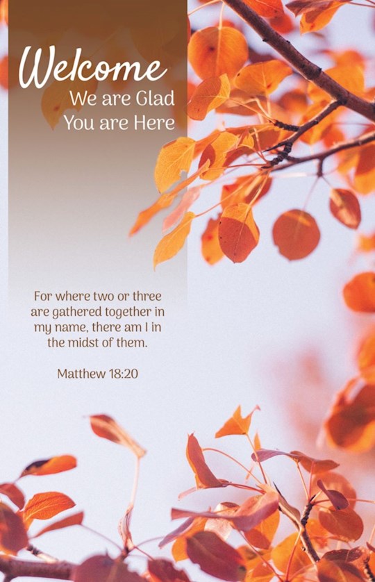 381488 Welcome We Are Glad You Are Here Matthew 18-20 KJV Bulletin - Pack of 10