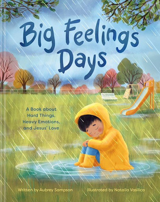 292472 Big Feelings Days Book