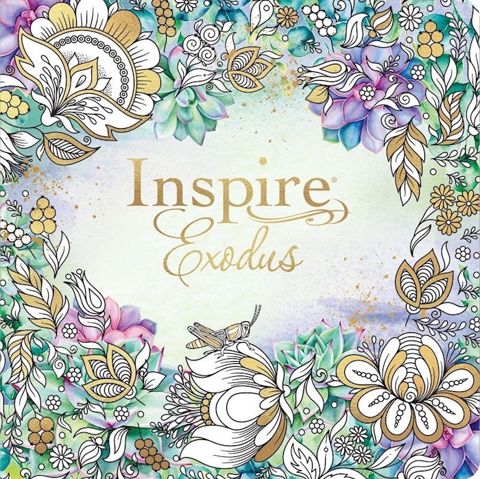 292491 NLT Inspire Exodus-Softcover Bible