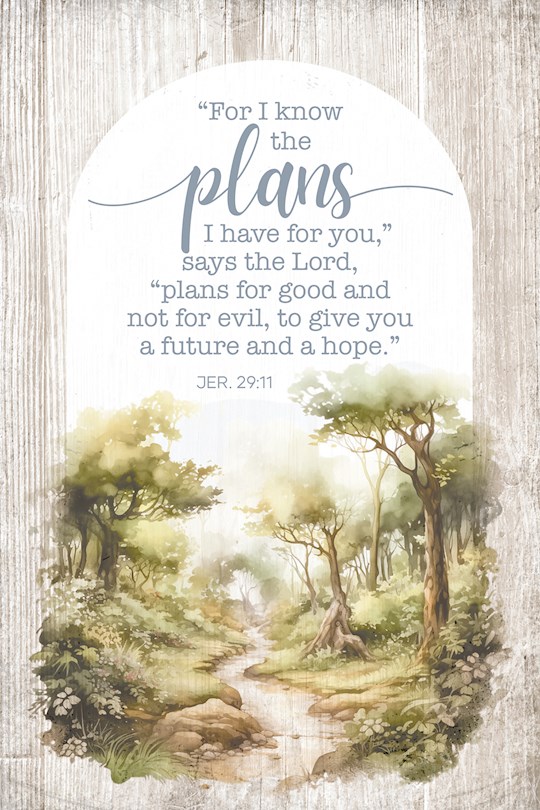 399298 Mini Blessings-For I Know The Plans Wall Plaque - 4 x 6 in.