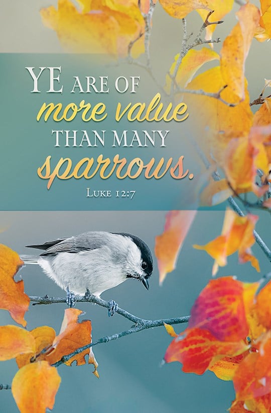 370556 Ye Are of More Value Than Many Sparrows Luke 12.7 Bulletin - Pack of 100 -  Hermitage Art